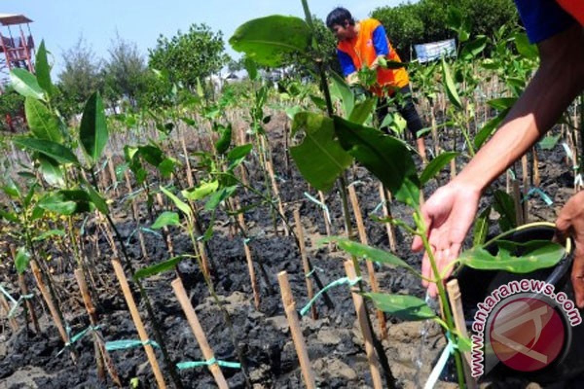 Masyarakat diminta kelola hutan secara legal melalui Program Perhutanan Sosial