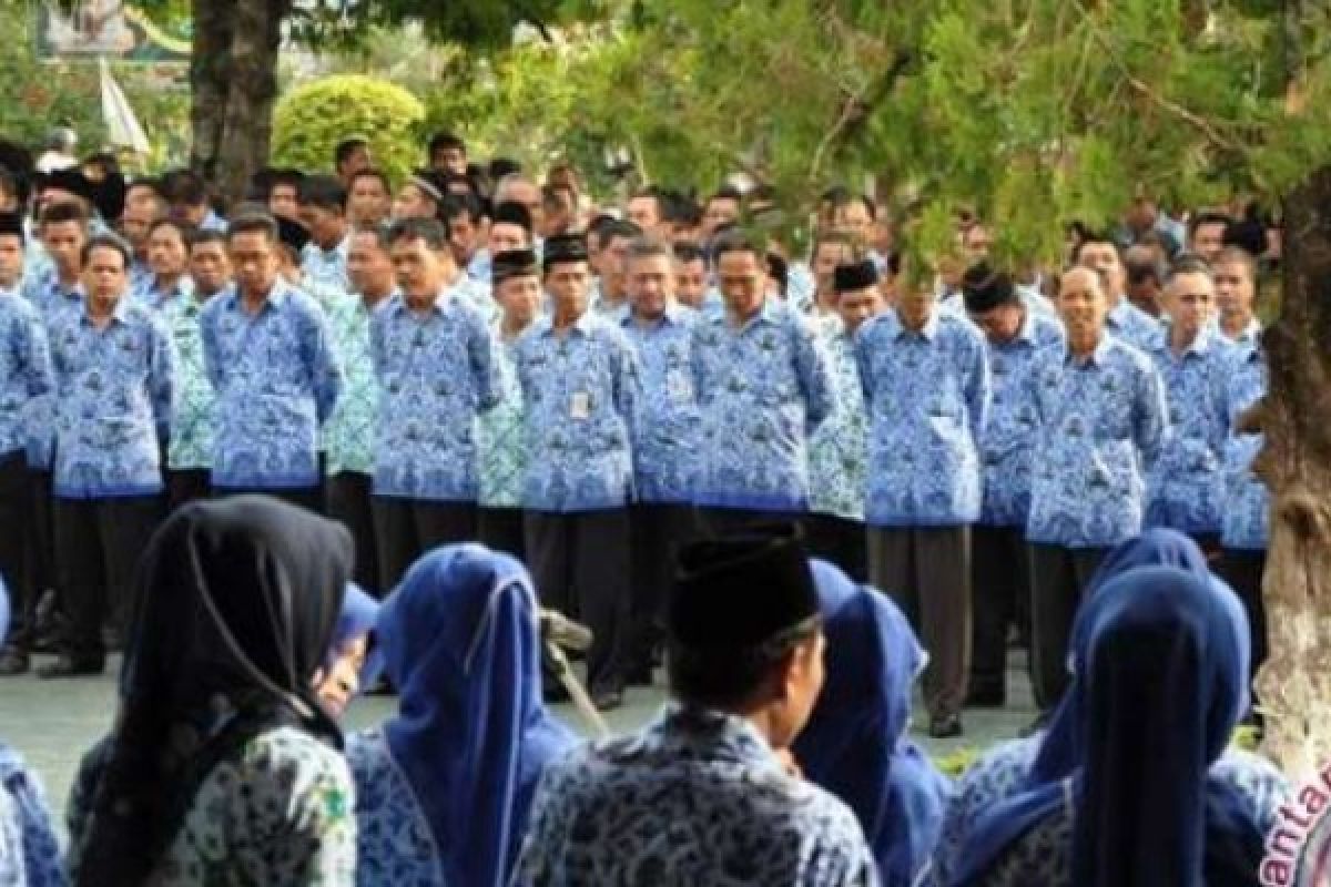 DPRD: Status Guru Honorer SD Pekanbaru Memprihatinkan