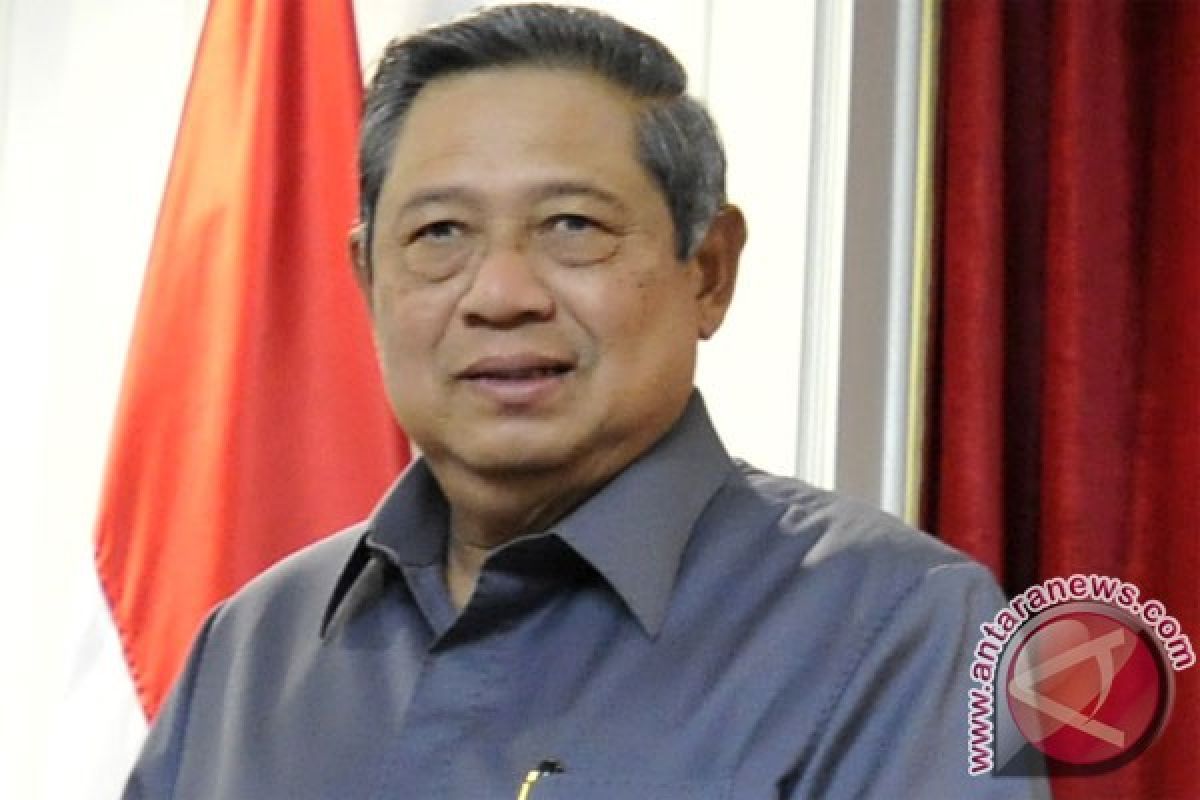 Presiden minta peternak tidak risaukan harga daging