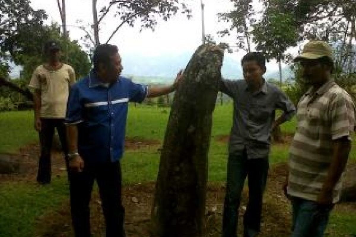 Menhir di Maek Potensi Wisata Prasejarah