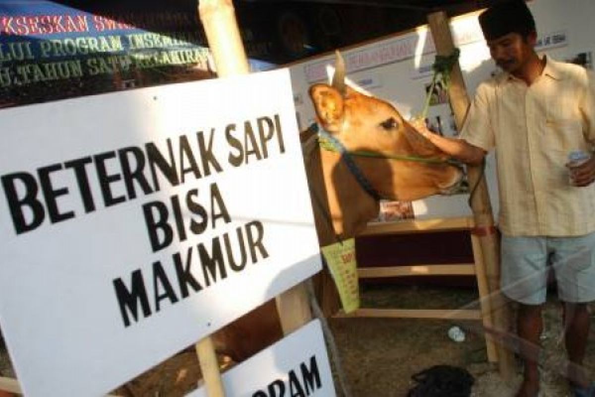 Atur Jenis Kelamin Semudah Menjentikkan Jari Tangan