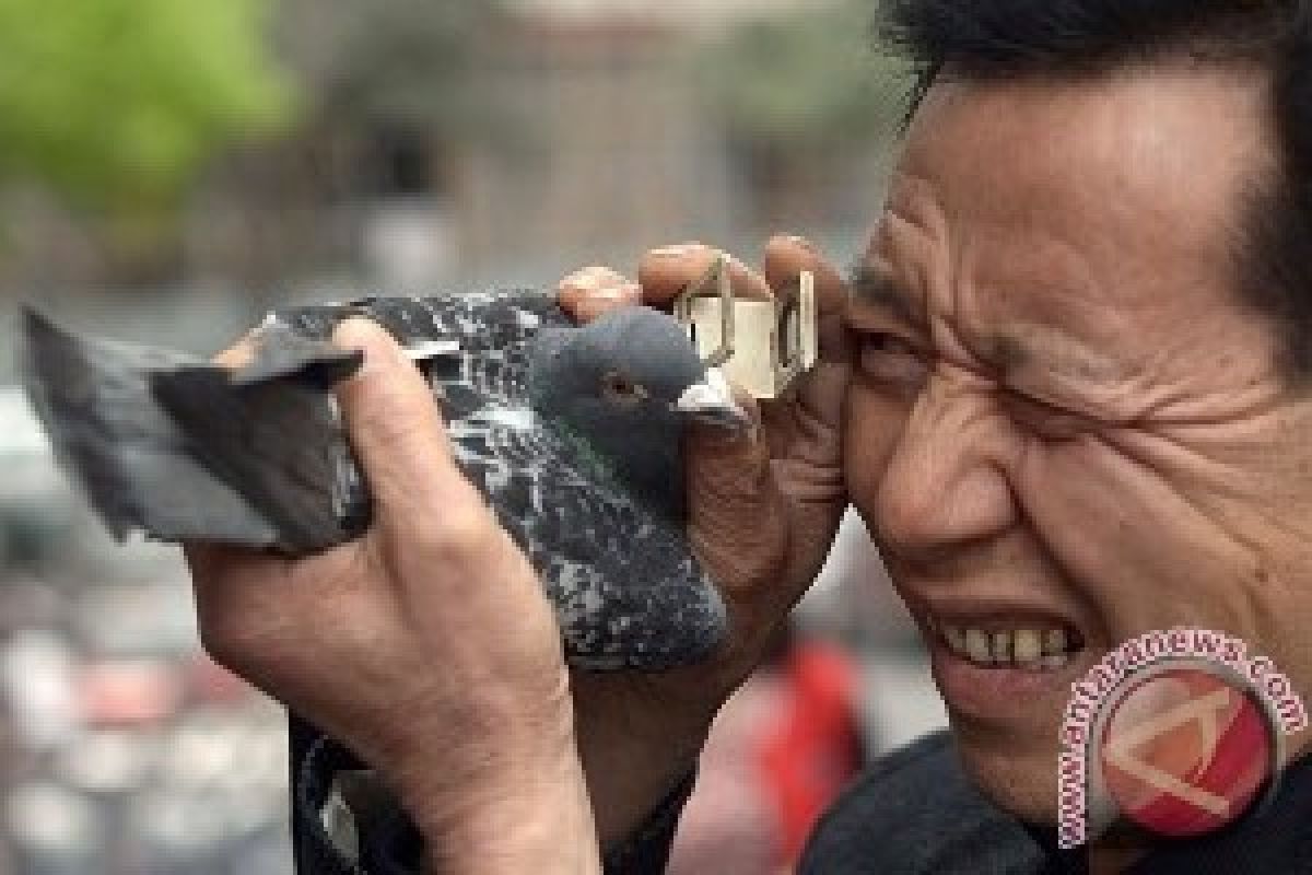 China Penjarakan Penyebar Isu Flu Burung