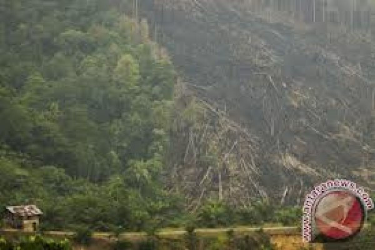 Penambahan Hutan Nagari Masuki Tahap Sosialisasi