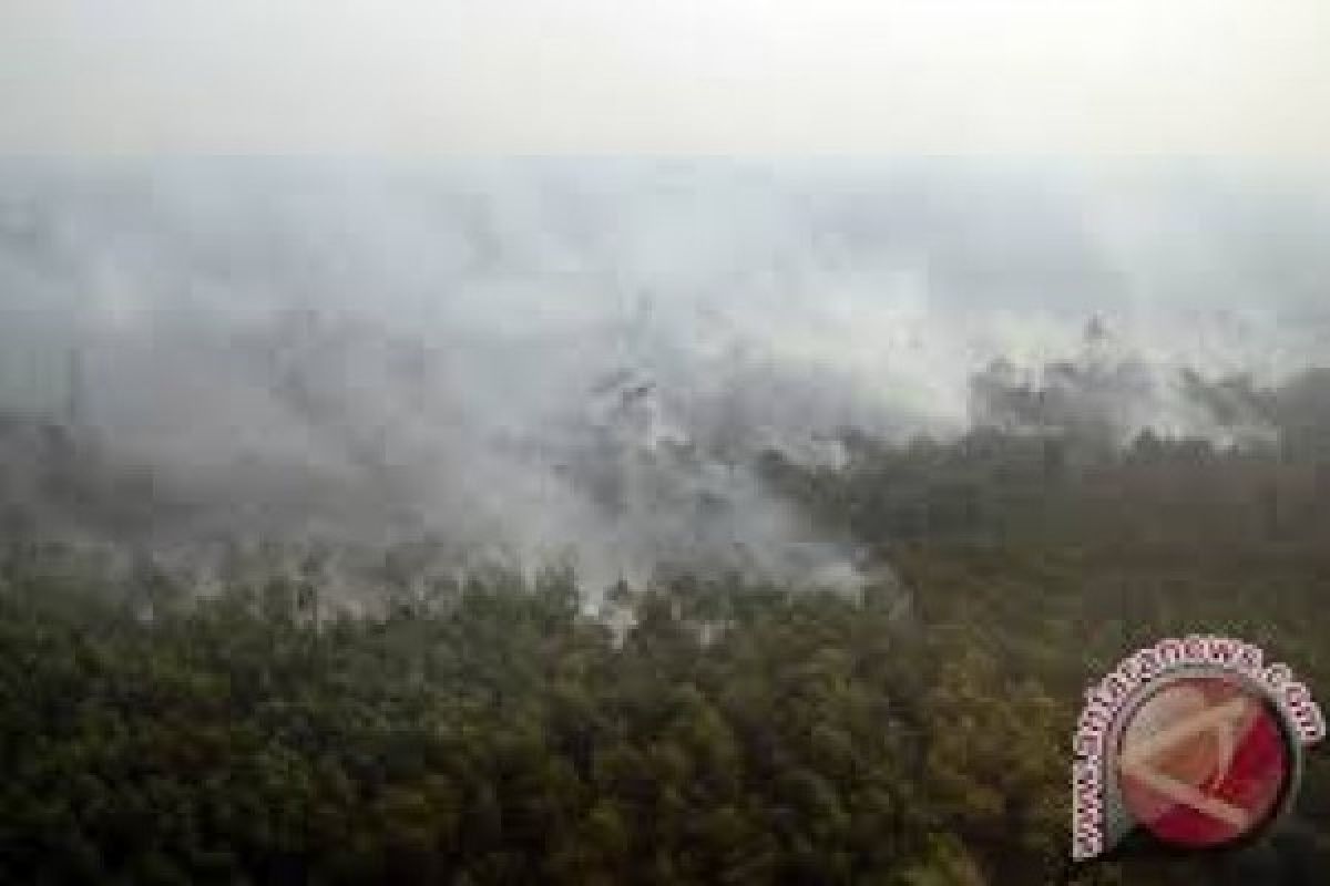 GAW: 903 Titik Panas di Pulau Sumatera