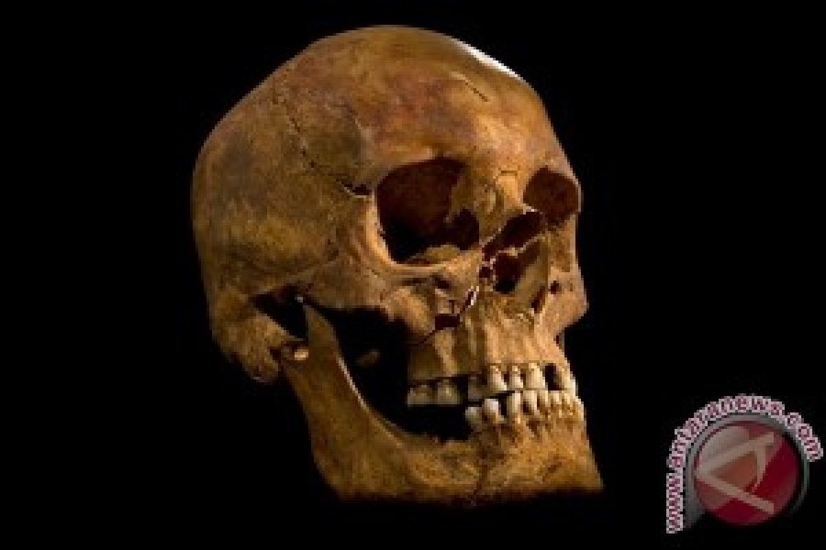 Ilmuwan Akan Petakan Genom Raja Inggris Richard III