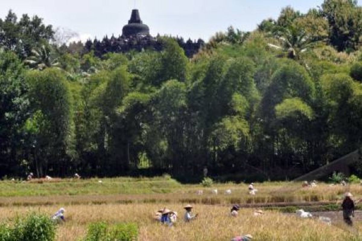 DMO Borobudur Dorong Warga Kritisi Lahan Kawasan