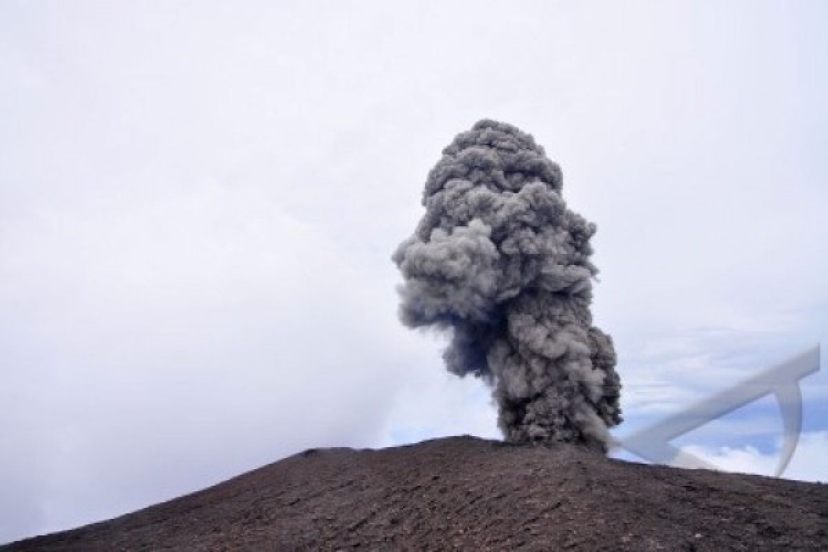 Aktivitas Vulkanik Gunung Slamet Mereda