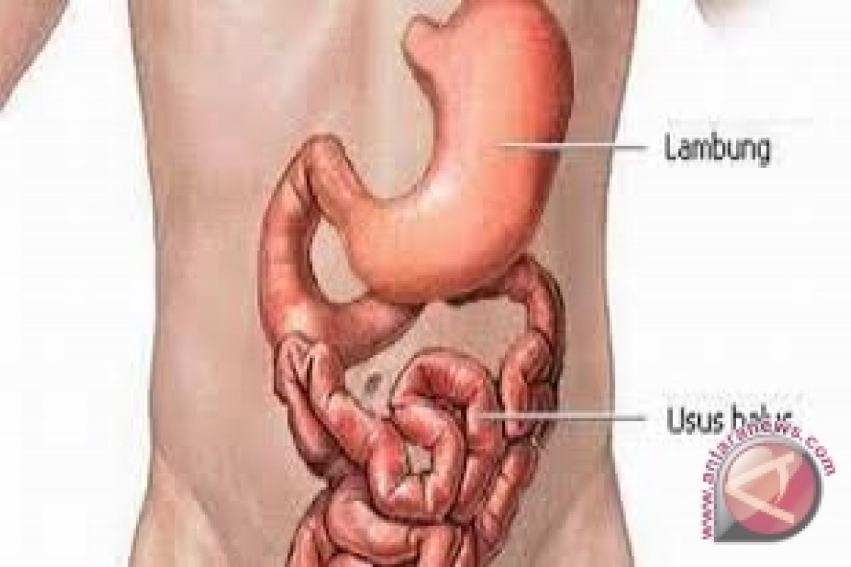 Dinkes minta masyarakat waspadai penyakit pencernaan