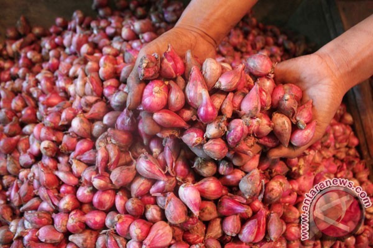 Harga Bawang Merah di Pekalongan Melompat