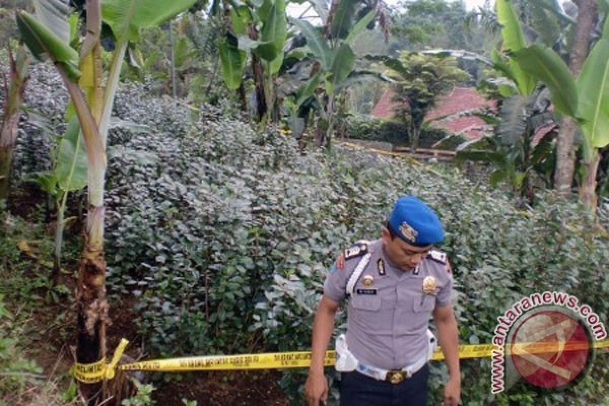 Larangan Membawa Masuk Tanaman KHAT ke Tiongkok