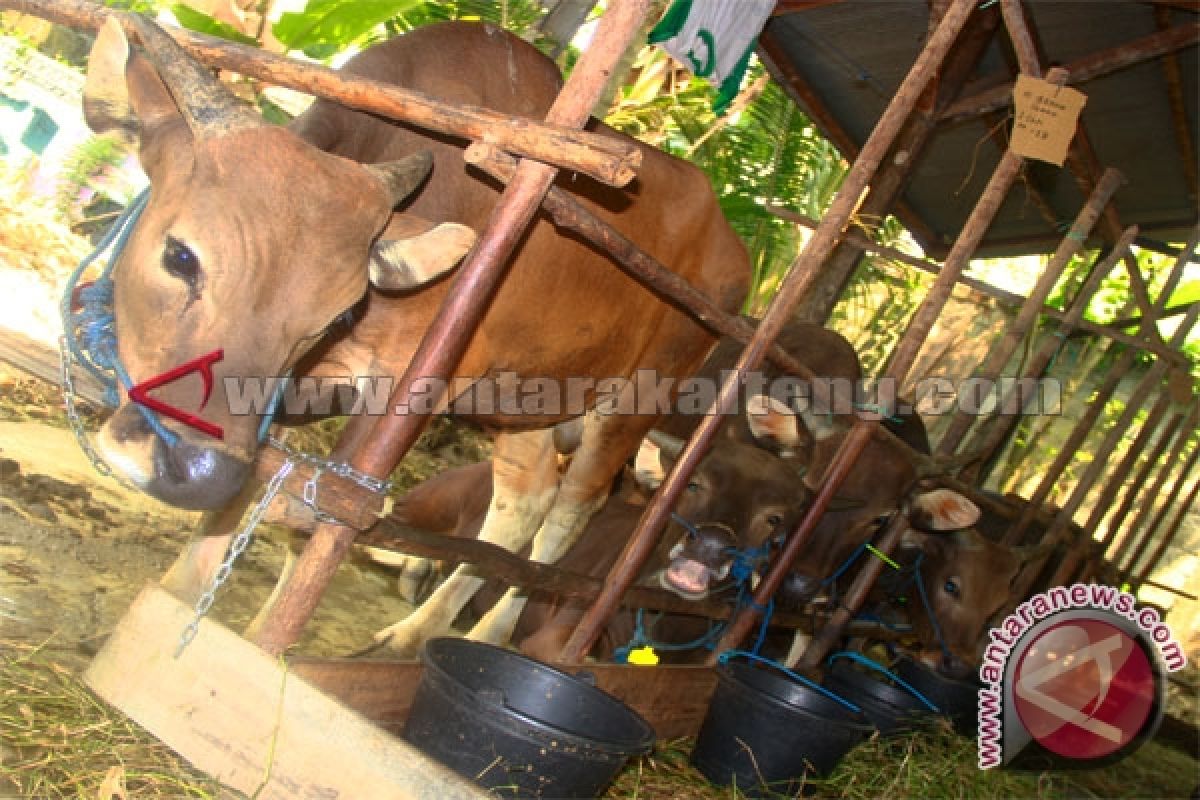 Khatib: Empat Dimensi Nilai Ibadah Qurban 