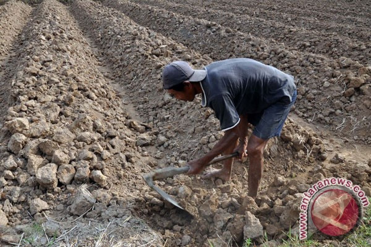 360 desa bakal alami kekeringan, BPBD Jateng sudah antisipasi sejak dini