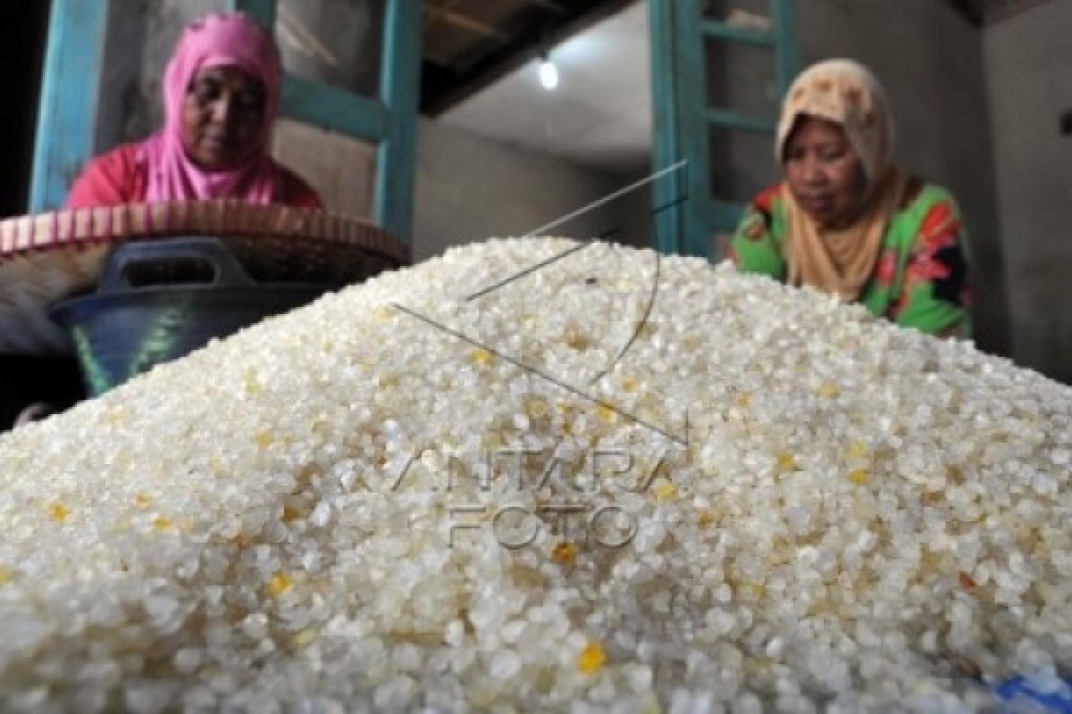 Beras Jagung Instan Alternatif Pengembangan Pangan Lokal