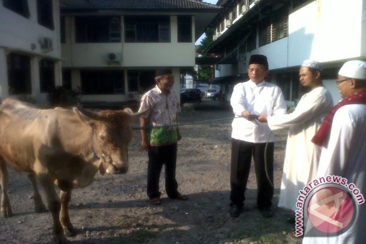 Senin Depan, DPRD Riau Agendakan Pemotongan Hewan Kurban 