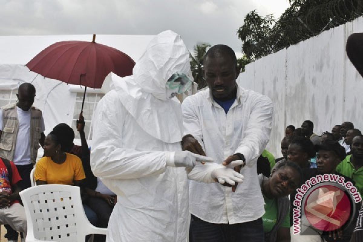  Musisi Bob Geldof Galang Dana Untuk Perangi Ebola