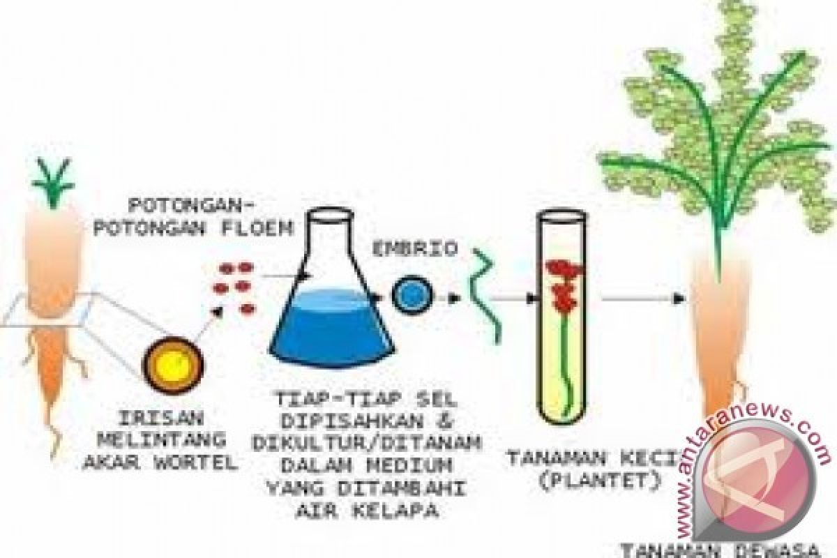 Kesuksesan Penerapan Bioteknologi Ditentukan Sikap Konsumen