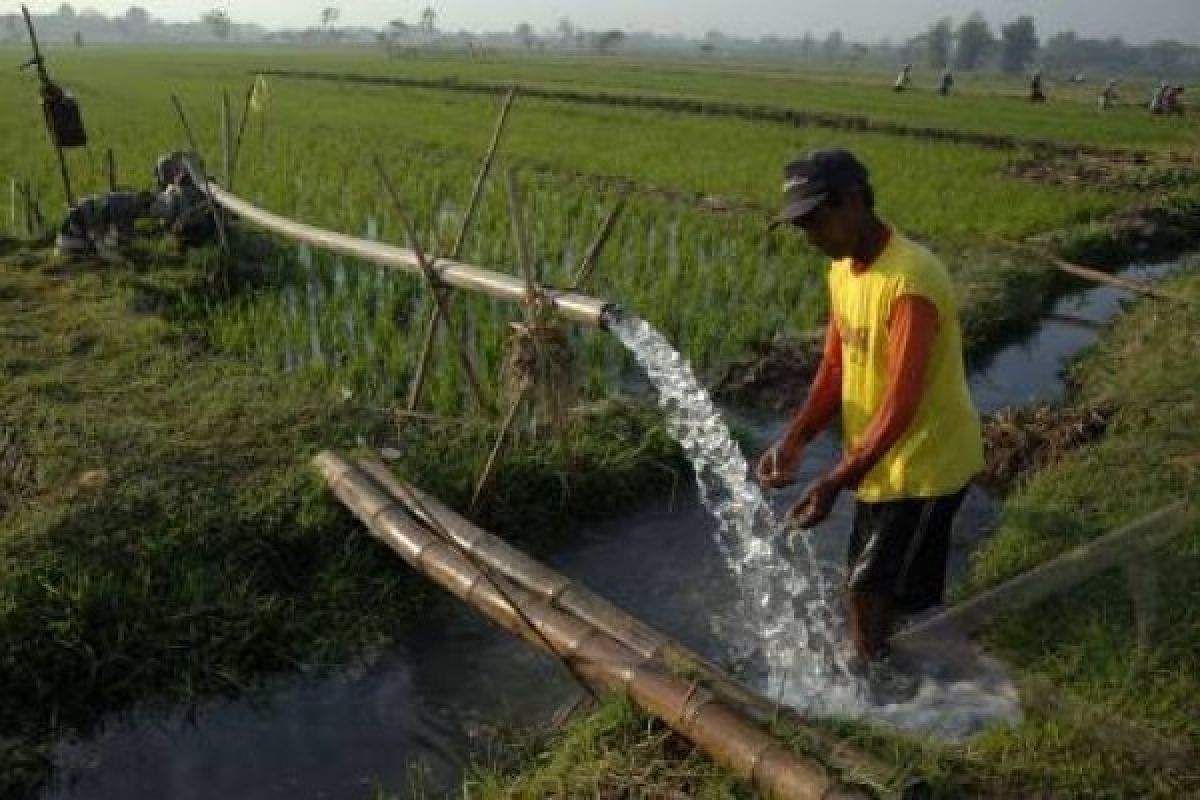 Pekalongan Alokaskan Perbaikan Infrastruktur Petungkriyono Rp23 Miliar