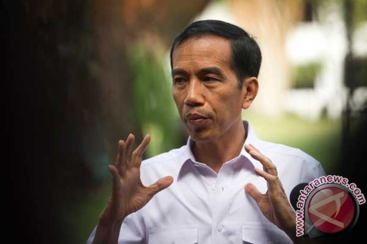 Presiden Jokowi Ingin Hukuman Kasus Pembalakan Liar Bisa Ciptakan Efek Jera