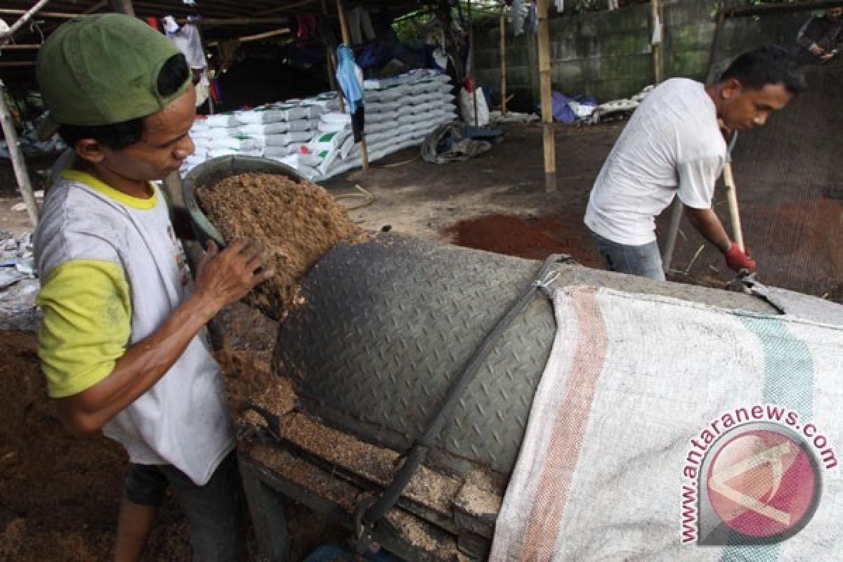 BATAN Ubah Kulit Udang Jadi Pupuk