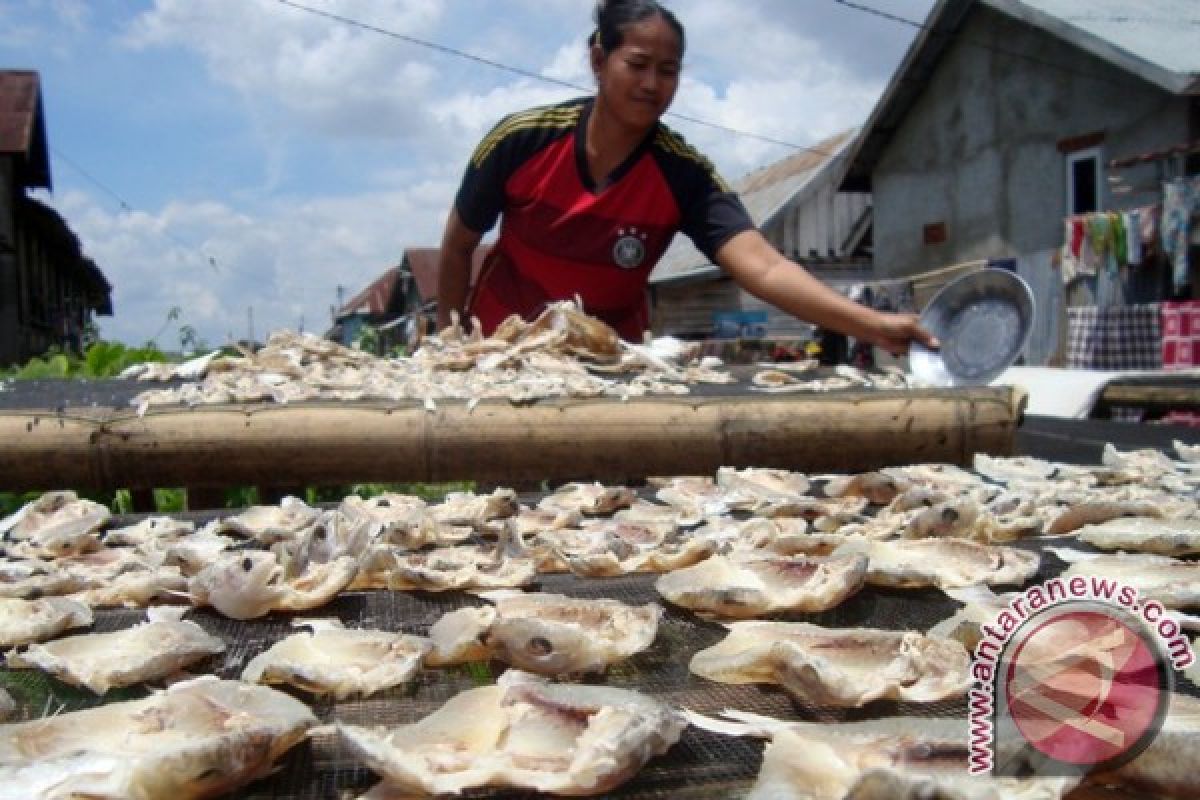 Bisnis ikan asin makin gurih