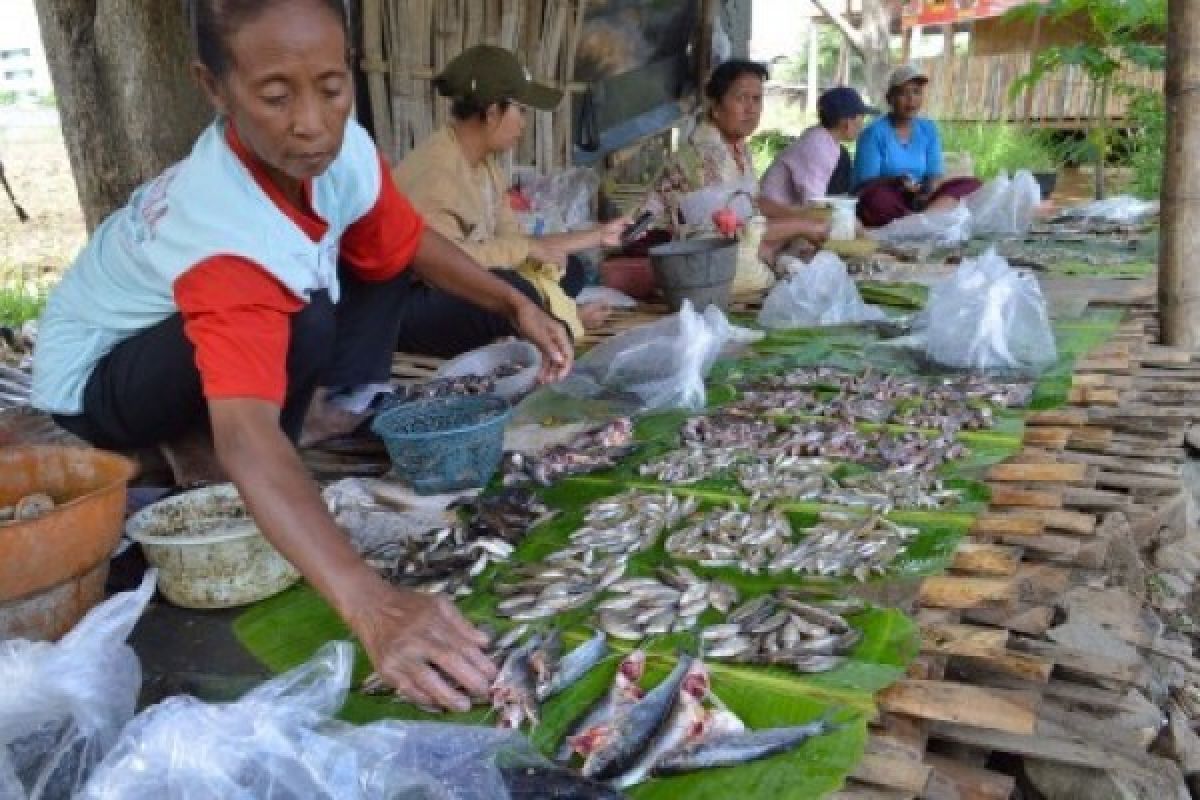 Pemasaran Ikan Segar Mudal Dukung Pariwisata