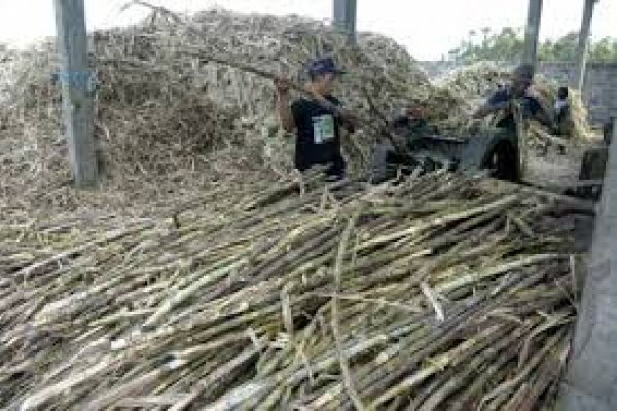 Indonesia to Import Doble Refined Sugar Not White Sugar