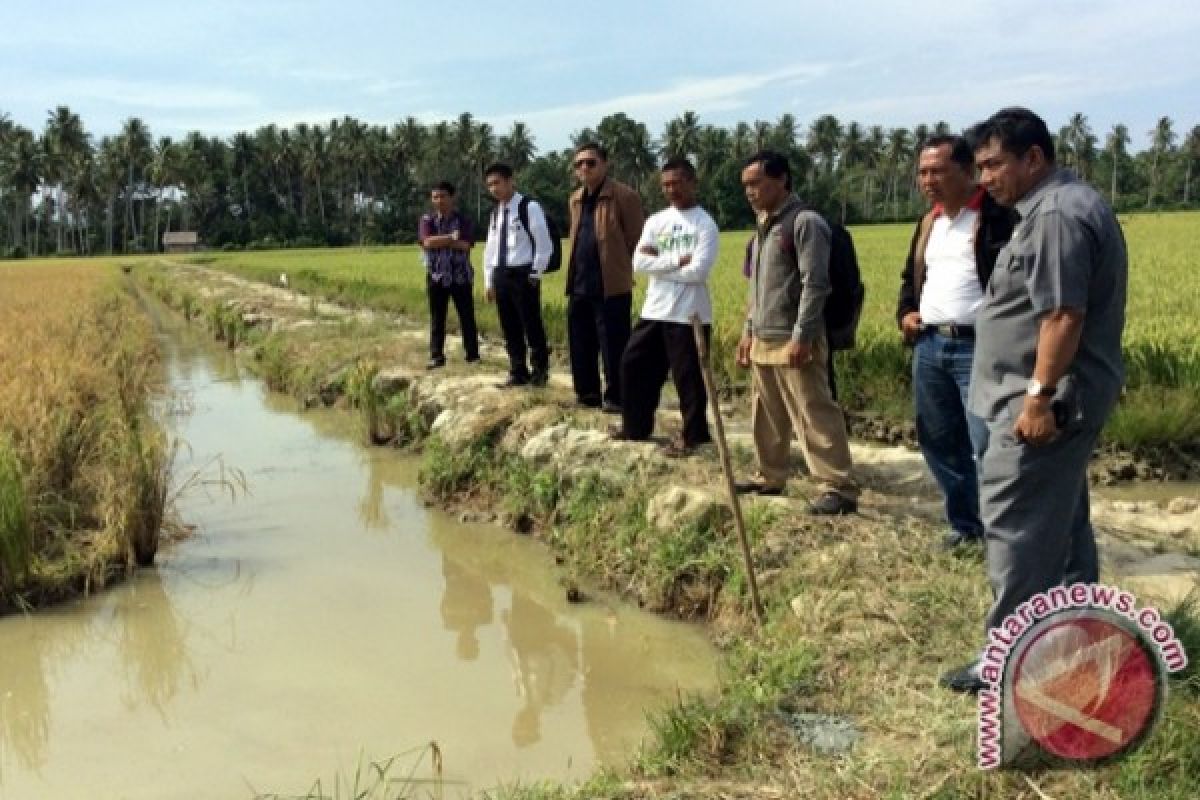 Pemkab Temanggung dorong pengembangan mina padi