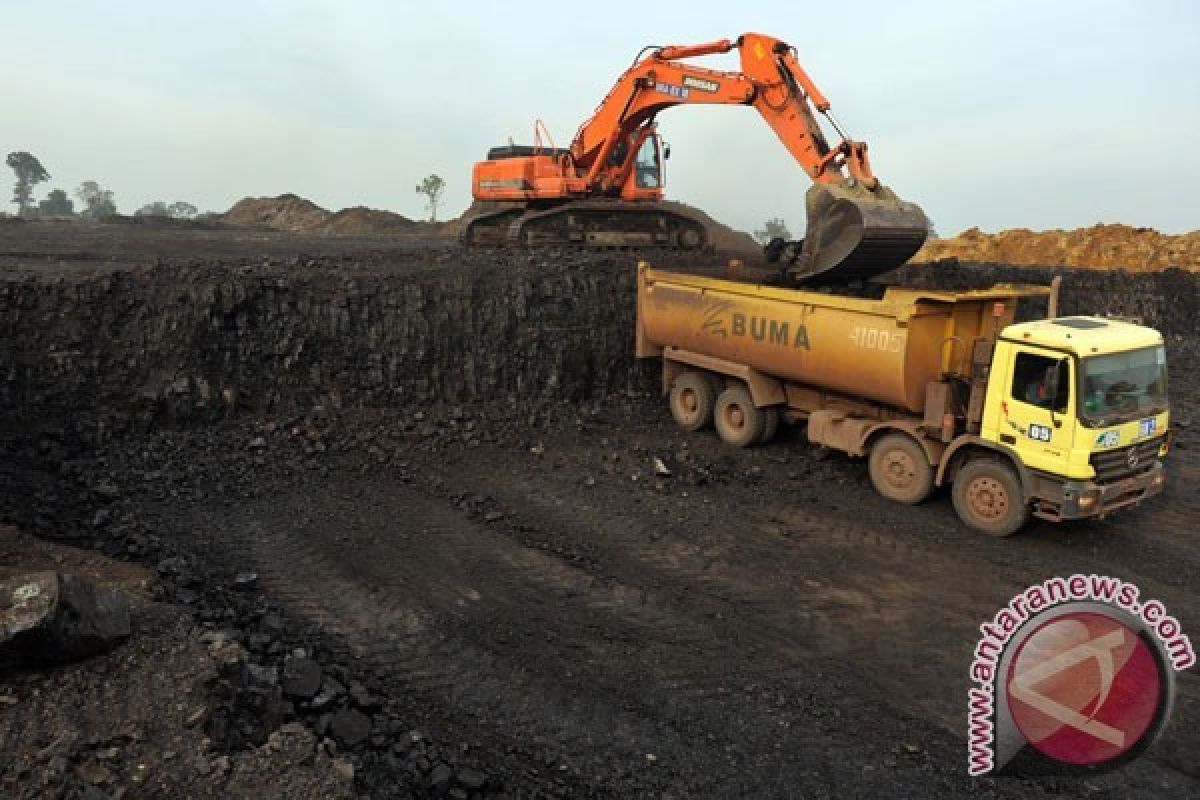 Rendah, Pendapatan Negara dari Pajak Minerba