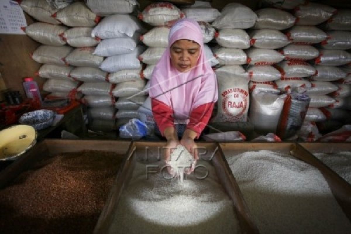 Isu Beras Sintetis Tingkatkan Konsumsi Beras Lokal