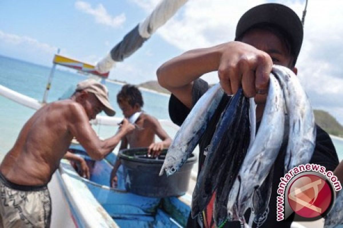 Ikan tuna NTB mengandung merkuri kadar rendah