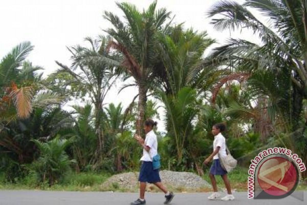 Peneliti datangkan mesin pengola mie sagu