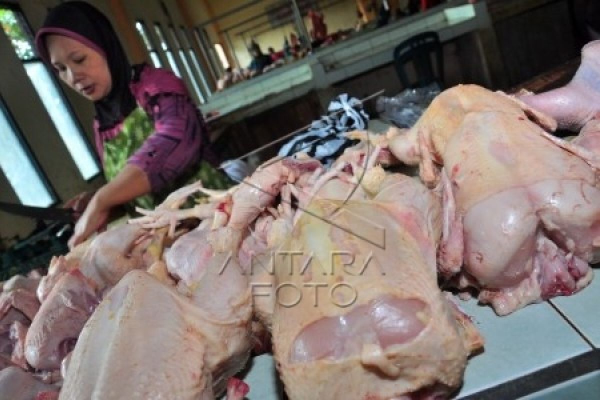 Kepala dan Usus Ayam Busuk Dijual di Solo