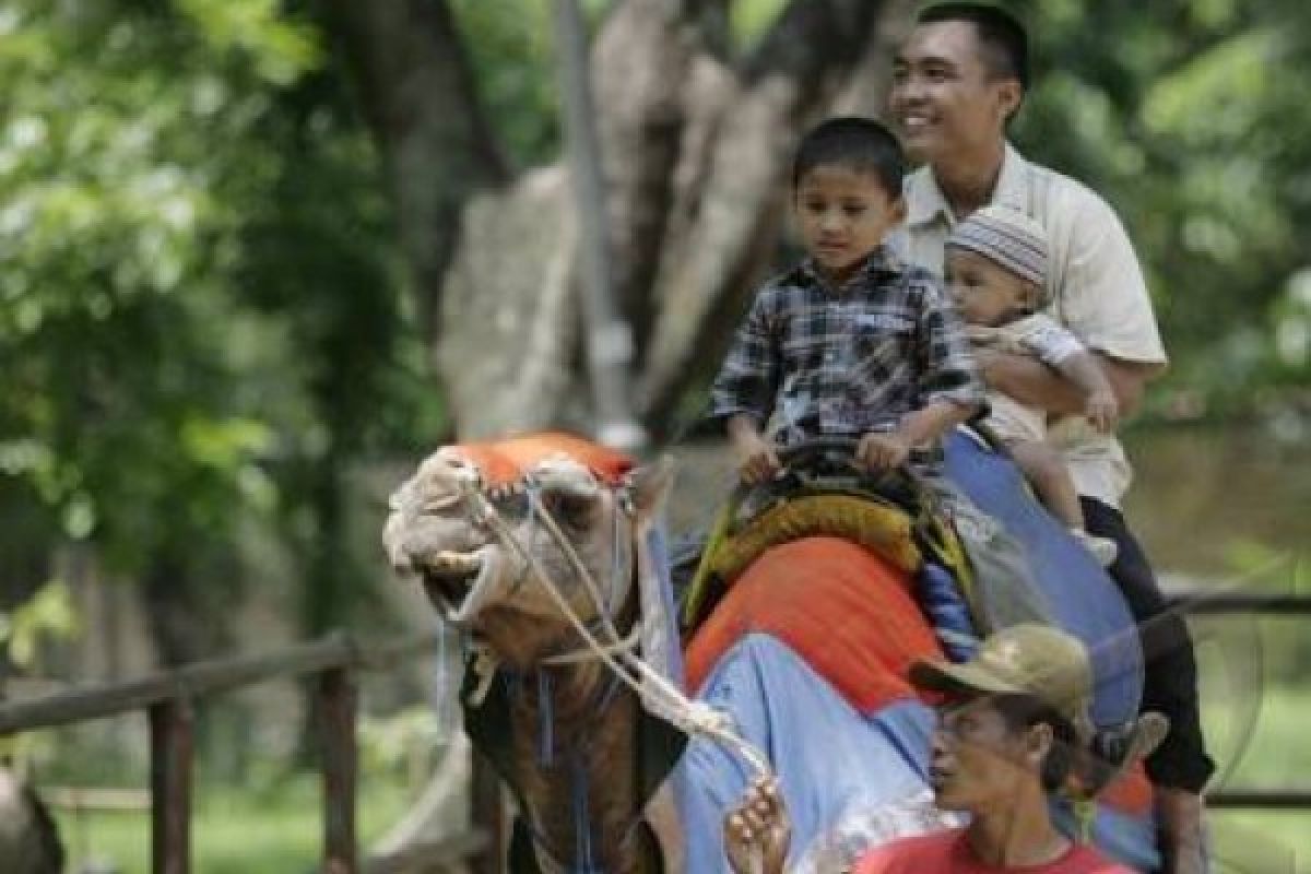 Pengunjung Taman Satwa Taru Jurug Solo Membludak