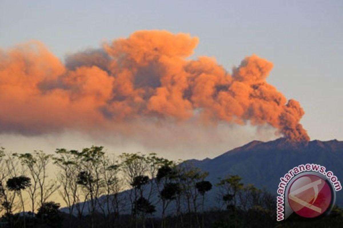 Gunung Raung Muntahkan Material Pijar 100 Meter