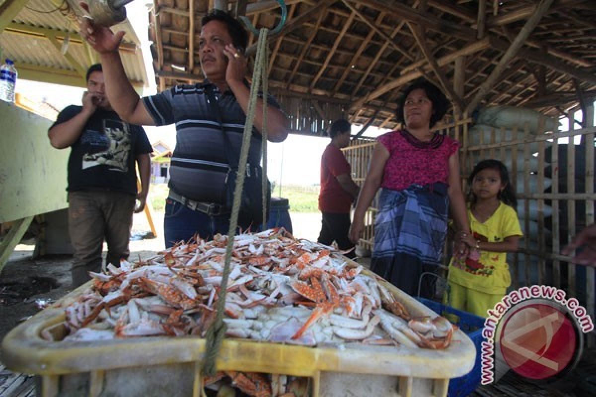 Nelayan Didorong "Restocking" Rajungan Secara Mandiri