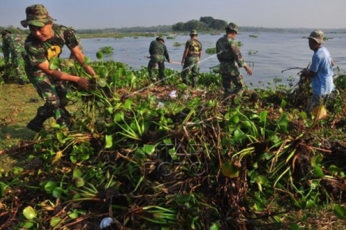 Gubernur Berharap Eceng Gondok Rawa Pening Dimanfaatkan