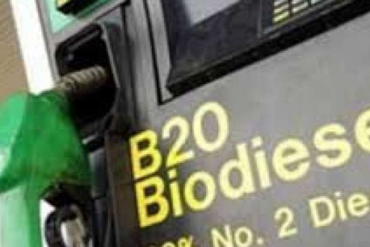 Percepat Program Biodiesel Solusi Penurunan Harga Sawit