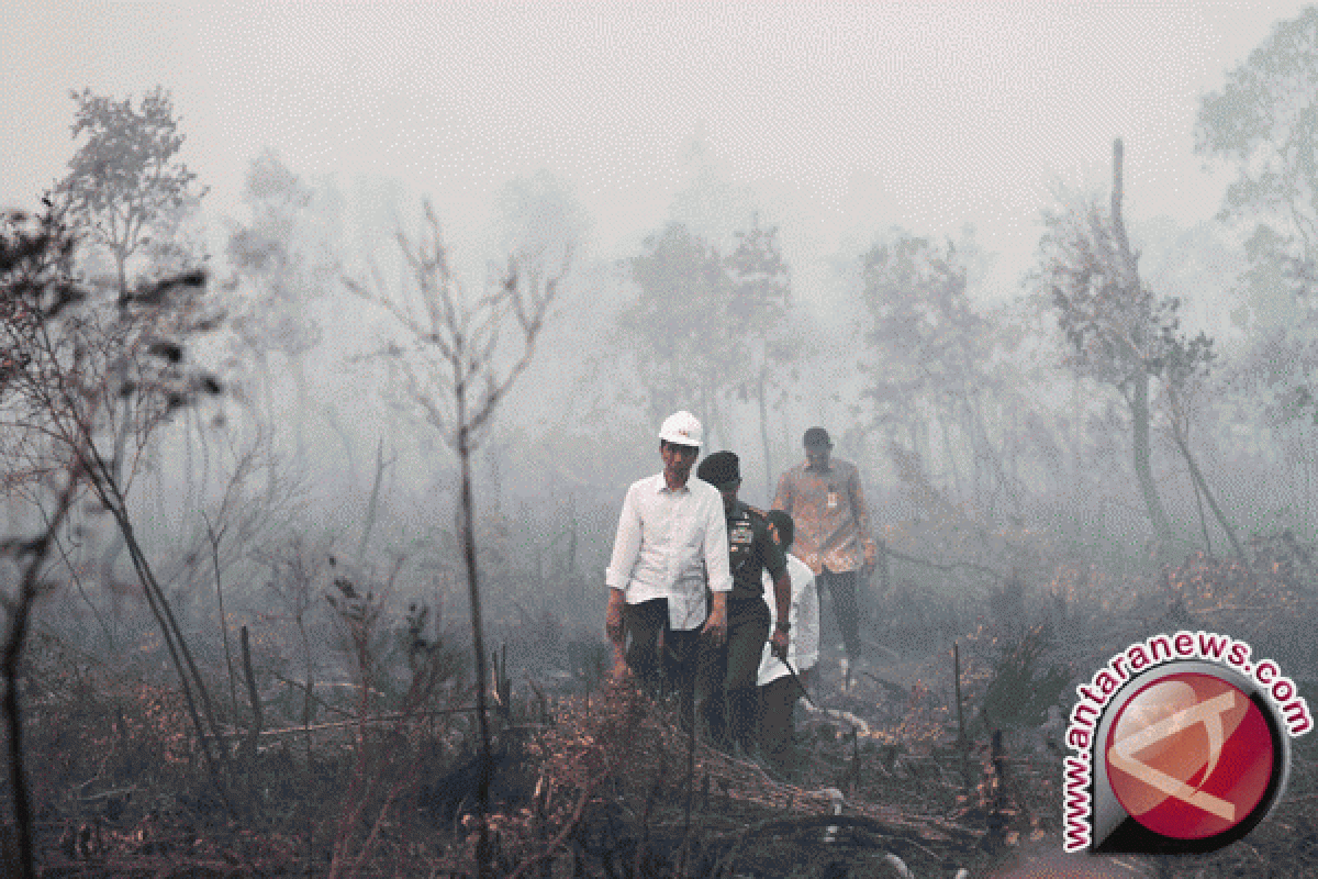 Hamdhani: Kabut Asap Di Beberapa Daerah Itu "Force Majeur"