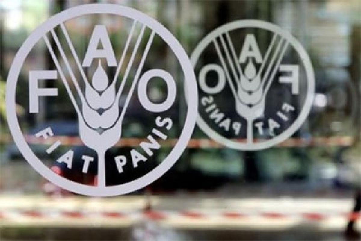 FAO: Harga Pangan Dunia Jatuh Terendah Tujuh Tahun