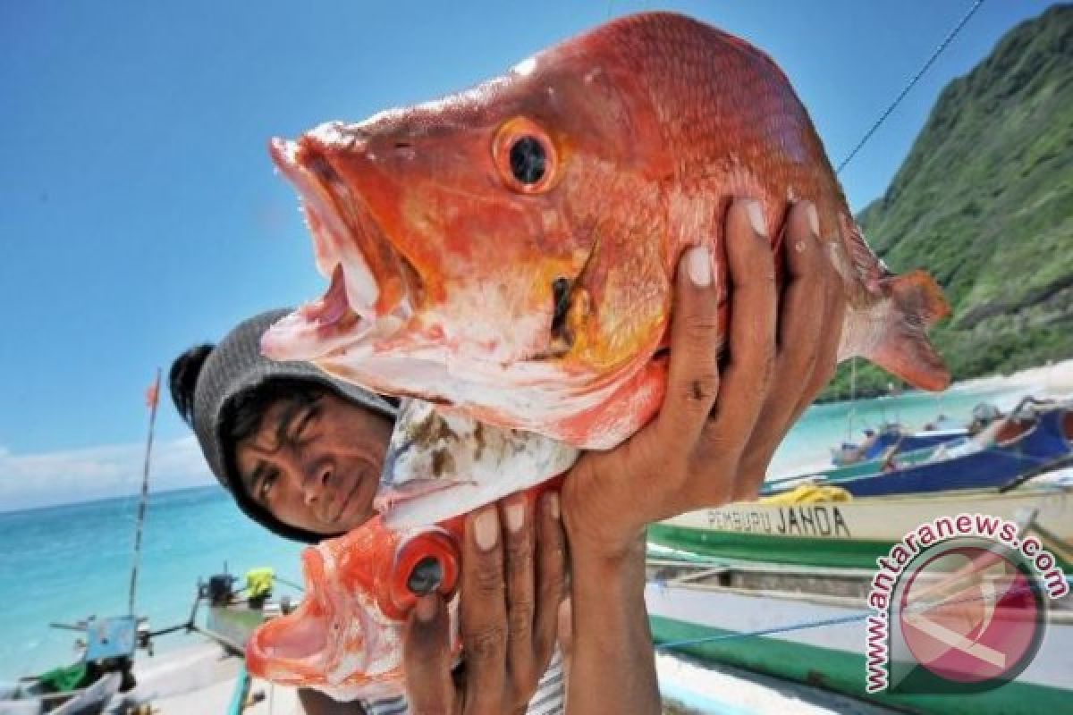 NTB Gelar Festival Masak dan Gambar Ikan 