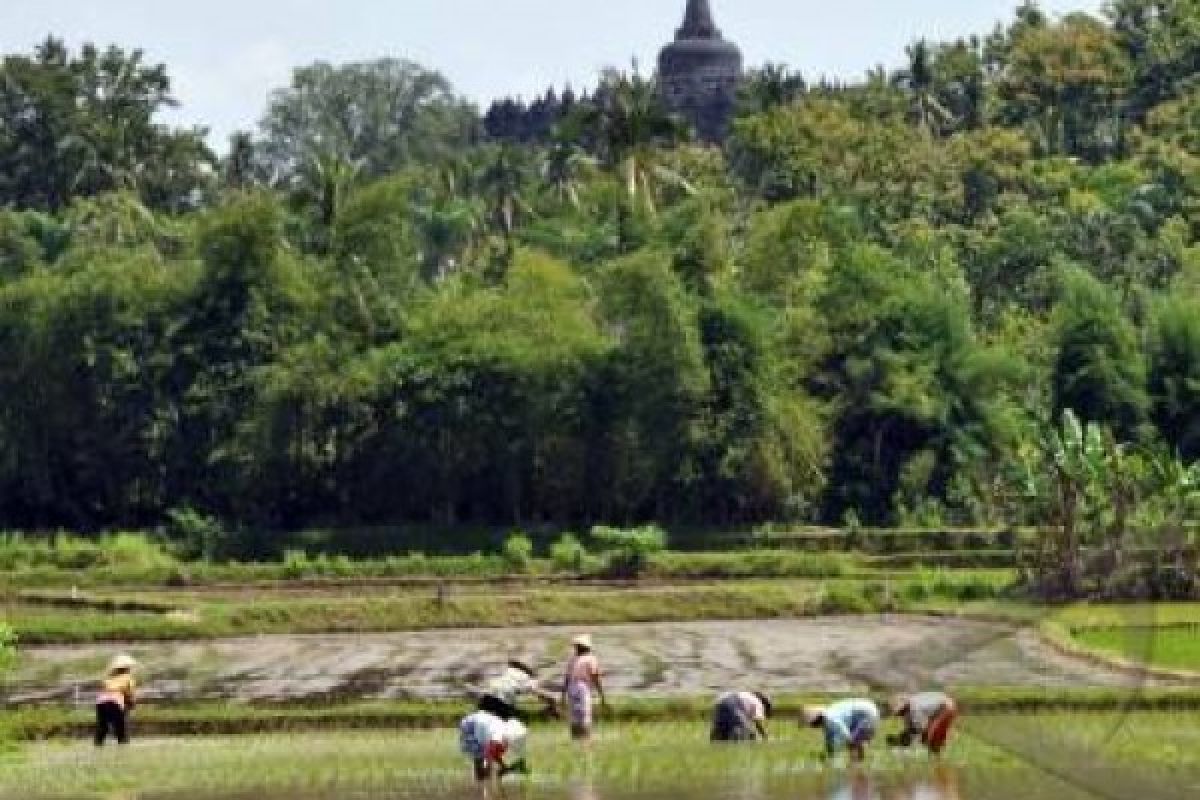 Borobudur Promosikan Desa Wisata di Konferensi Nasional DMO