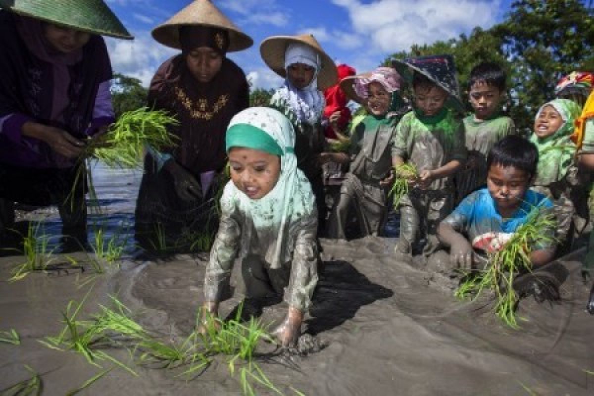 Sekolah Sawah Tanamkan Pertanian Organik Anak Merapi