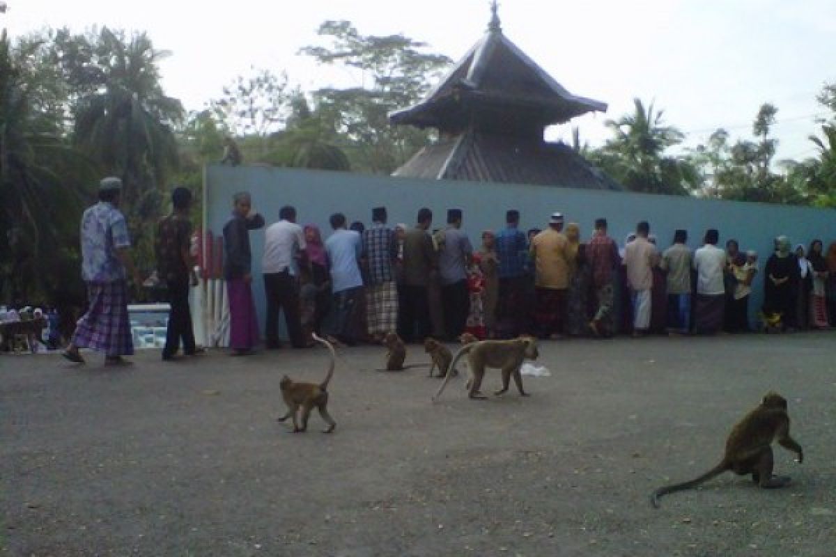 Penganut Islam Aboge Shalat Idul Adha Jumat