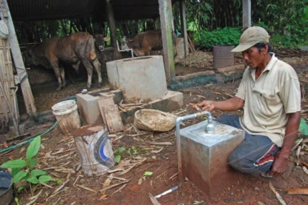 Jateng Dorong Pemanfaatan Kotoran Sapi Untuk Biogas