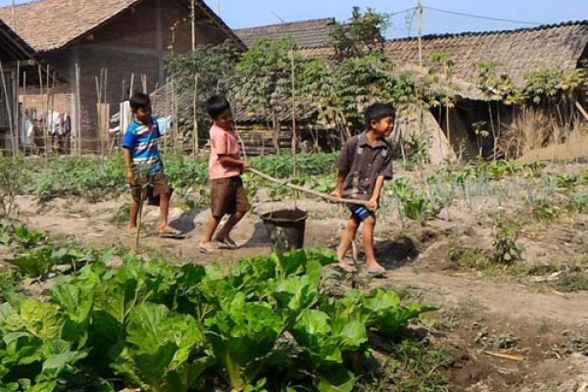 Mereka Giring Pertanian Organik Lampaui Zamannya