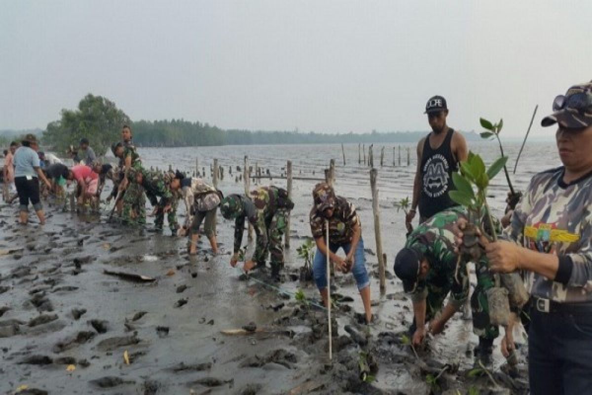 Disporbudpar Mimika kembangkan wisata mangrove