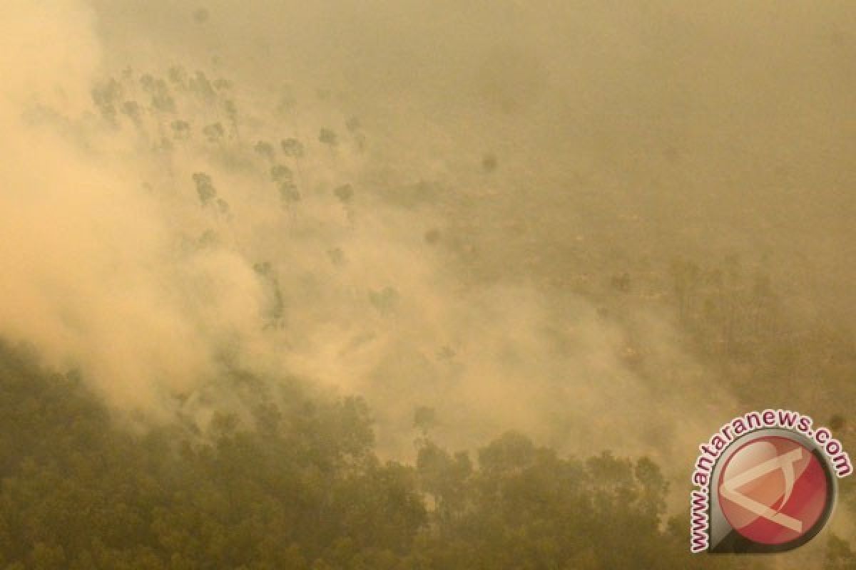 BENCANA ASAP - Satelit Deteksi ada 39 Titik Indikasi Kebakaran Hutan di Babel