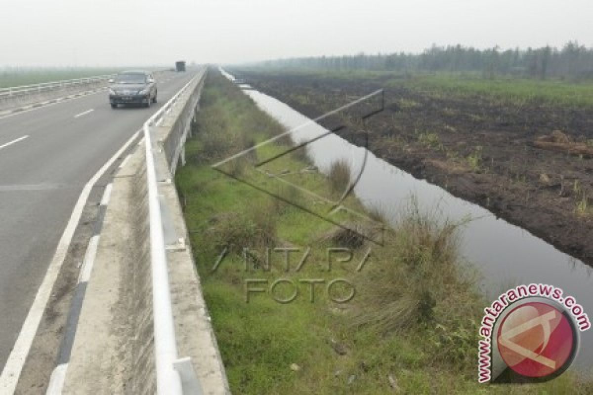 Guru Besar Jepang: Gambut Bukan Penyebab Kebakaran