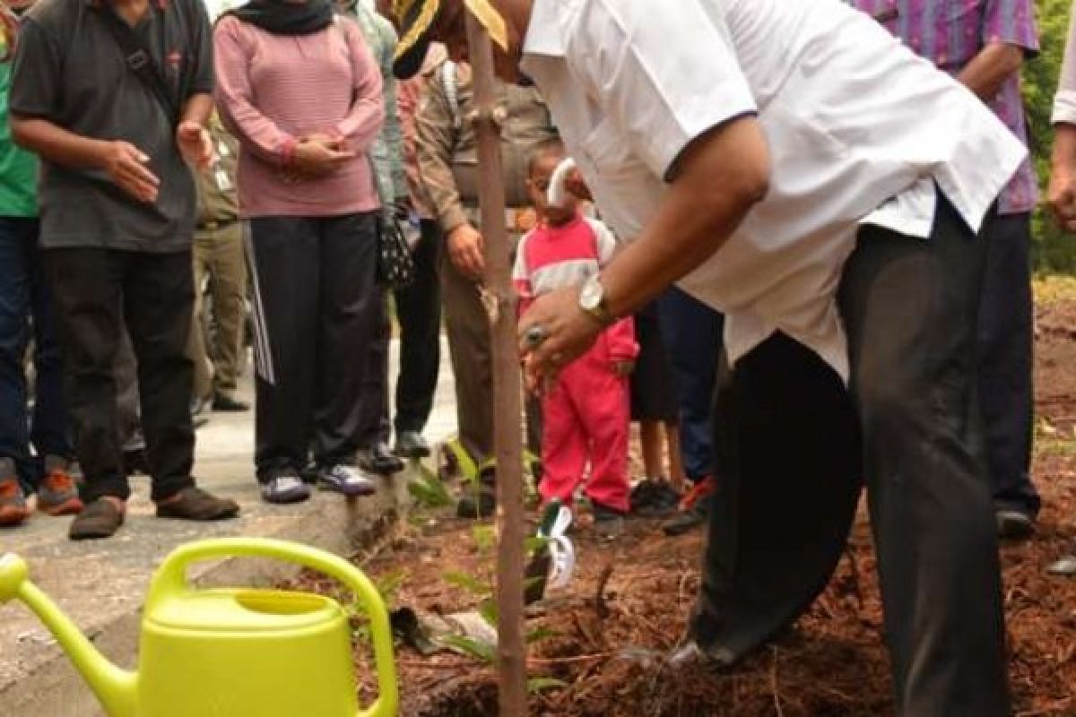 Bupati Bengkalis Apresiasi Gerakan Menanam Pohon Pelindung