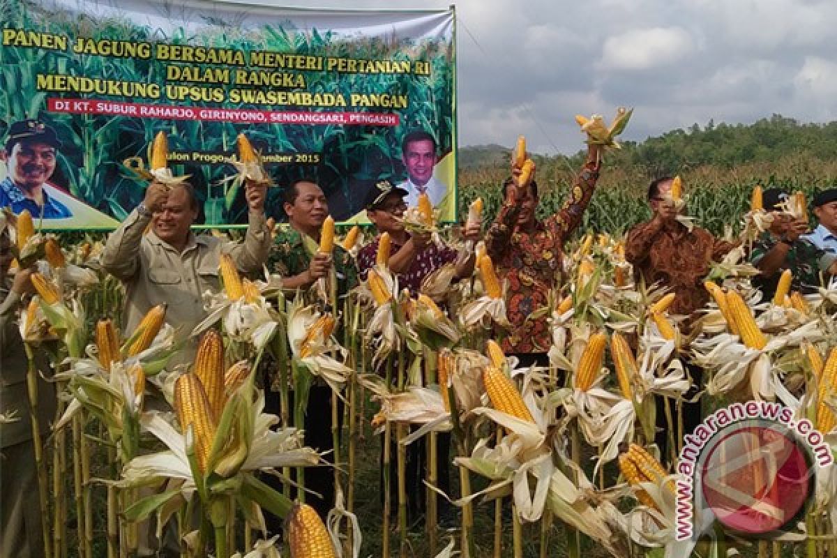 Kulon Progo rintis Agro Techno Park Tawangsari